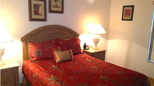 Best vacation rentals near Disney World