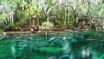 It's an easy drive to the Blue Springs from your InnHouse vacation home in Orlando.